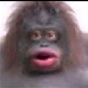 Meet your Posher, Askia